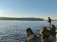 テトラのポイント